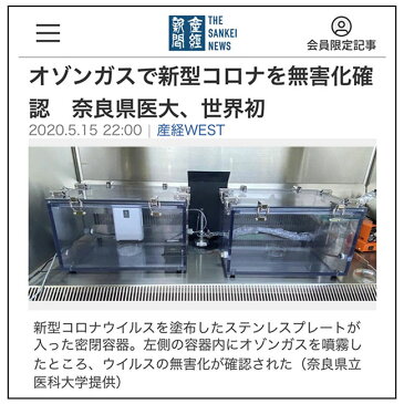 オゾン 車載空気清浄機 マイナスイオン 除菌 ウイルス 車用空気清浄器 花粉対策 ウイルス対策 感染予防 PM2.5 リラクゼーション リラックス 梅雨 車の臭い