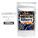 100倍濃縮・北欧産ビルベリー配合 マリーゴールド ビタミンA ルテイン 大容量6ヶ月分 アイケア サプリ