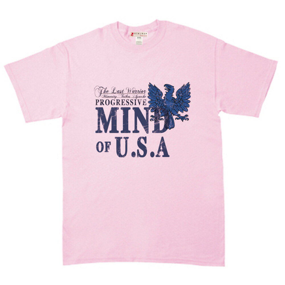 Tシャツ アメリカンネイティブスピリッツ アメカジ スピリッツ Tee