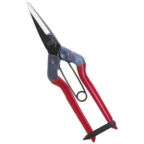 近正　菜園鋏　尖直刃　袋入