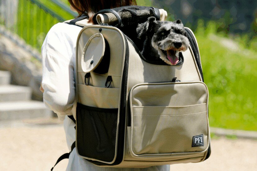 PFI꡼Хåmodern١塡ڥåȡڥåȥ꡼ȥɥ⡡̡̡ǭͤͥ