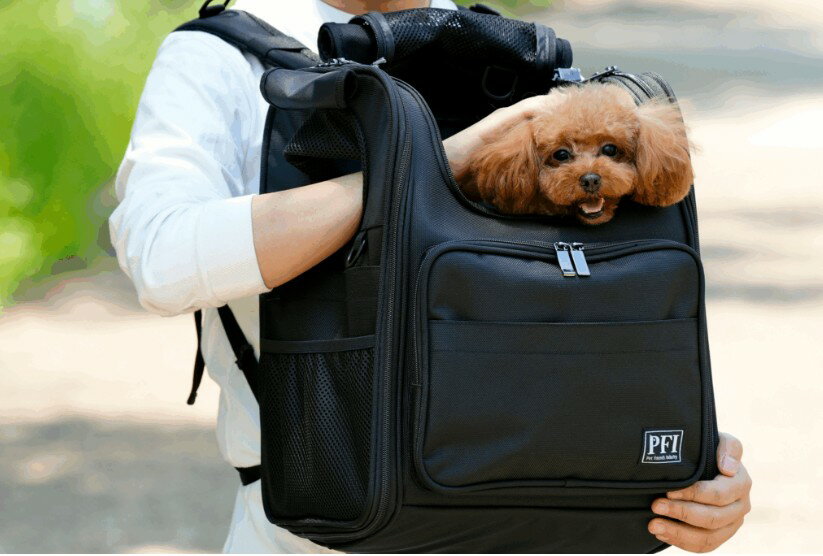 PFI꡼Хåmodern֥åڥåȡڥåȥ꡼ȥɥ⡡̡̡ǭͤͥ