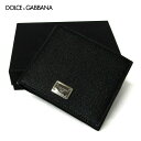 ドルチェ ガッバーナ DOLCE&GABBANA ロゴプレート 小銭入れ付 二つ折り財布(33004) BP3102 AG219 80999