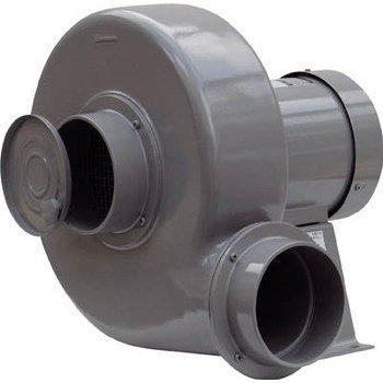 �����ŵ� �ץ졼�ȷ���ư�������� N4