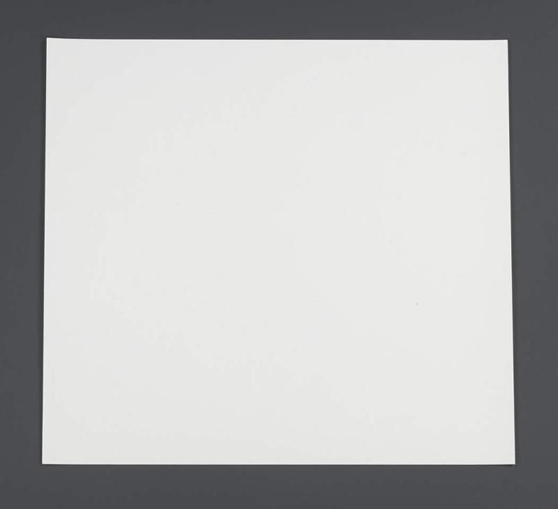 エスコ 500mmx 50m 虫よけ粘着シート EA941B-103