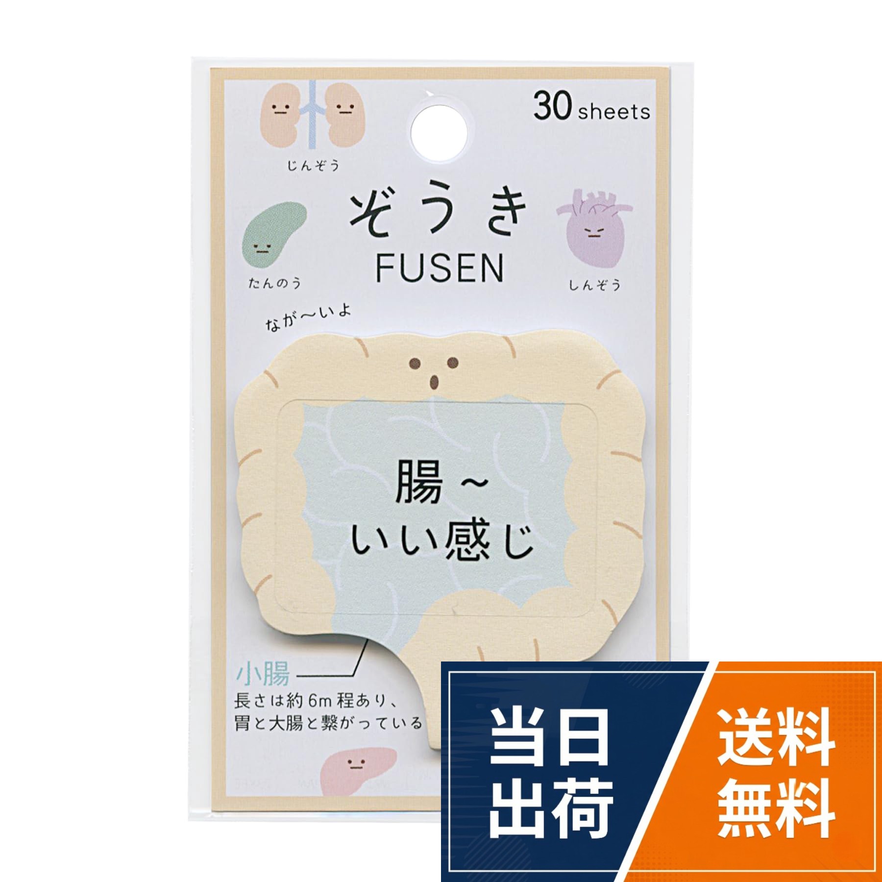 品番：203401ぞうき ふせん/FUSEN【腸】ゆるい 臓器 203401 / 62x75mm