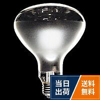 東芝 屋外レフランプ RF110V 90W HC