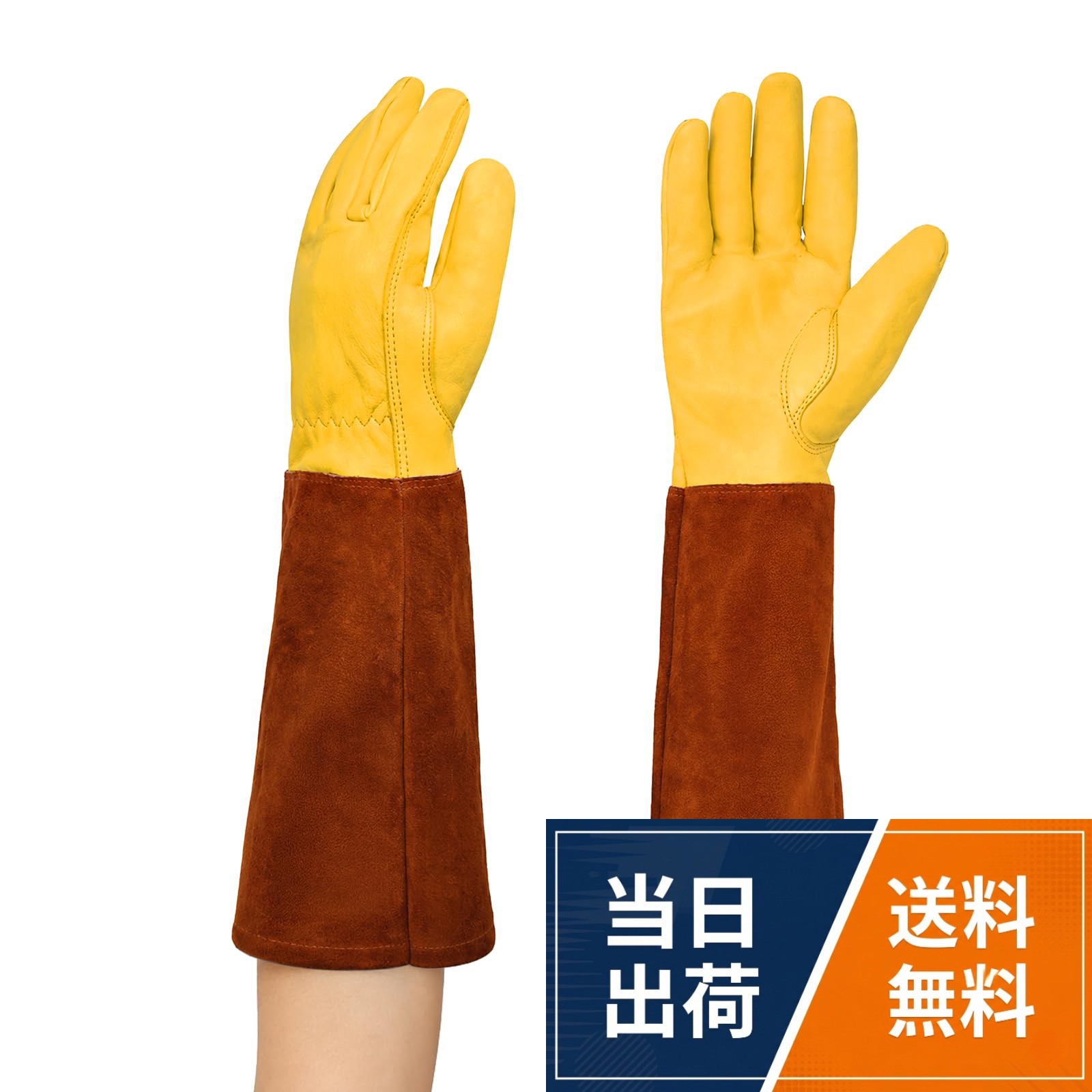 【肘まで守るロング設計】 腕全体をしっかり覆うロングスリーブ仕様でバラの鋭いトゲ、生い茂った枝、害虫、日焼けなどから腕を完璧にガードします 剪定作業や草むしりも、ケガの心配なくスムーズに行えます。【厳選された本革素材】 手のひら部分には耐摩耗性に優れた高級本革を採用し鋭いトゲが刺さりにくく、使い込むほどに手に馴染みます 指先まで自由に動かせる柔軟性と、プロ仕様の耐久性を両立しました。【4つの高性能スペック】 画像にもある通り「断熱・防刺・通気・防滑」の4機能を完備し熱を遮断するため、園芸だけでなくBBQやキャンプの焚き火、DIY、さらには溶接作業など幅広いシーンで活躍します。【蒸れにくく快適な使い心地】 天然皮革の優れた通気性により、長時間の作業でも内部が蒸れにくく、快適な装着感を維持します 手のひらには滑り止め加工を施しており、スコップや剪定ばさみをしっかりと握れます。【男女兼用・多用途対応】 シンプルでスタイリッシュなデザインでバラ栽培、ガーデニング、果実の収穫、ペットの取り扱い、キャンプ、日曜大工などに対応します 大切な方へのプレゼントとしても喜ばれる、機能美に溢れた一双です[TEA MYONG] 園芸用グローブ ロング 革 バラ トゲ防止 レザー ガーデニンググローブ レディース メンズ 園芸用グローブ 剪定 刺さりにくい 厚手 作業用手袋 Z432 / ガーデニング