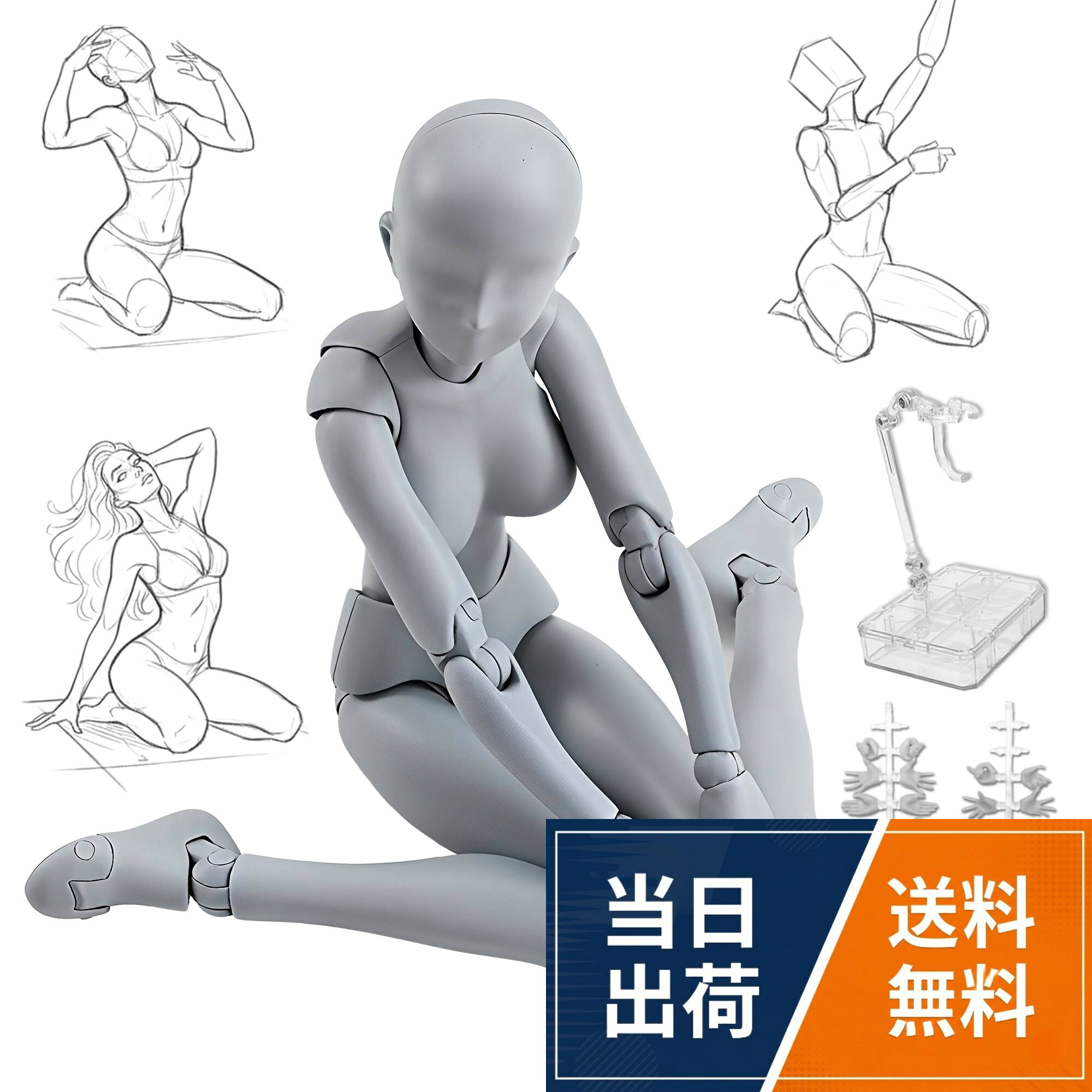 【送料無料】CHALAN デッサン人形 フィギュア 30個関節可動 【プロ漫画家推薦】 男性 女性 モデル 人形 スタンド付き 漫画 デッサンモデル デッサンドール
