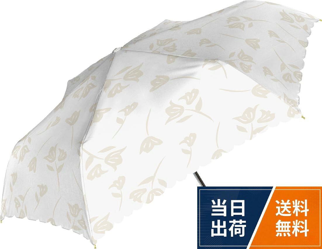 【中谷】 Parasol