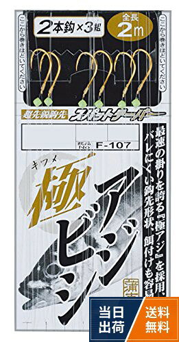 がまかつ(Gamakatsu) 極アジビシ2本仕掛 F107 10号-ハリス1.5. 45038-10-1.5-07