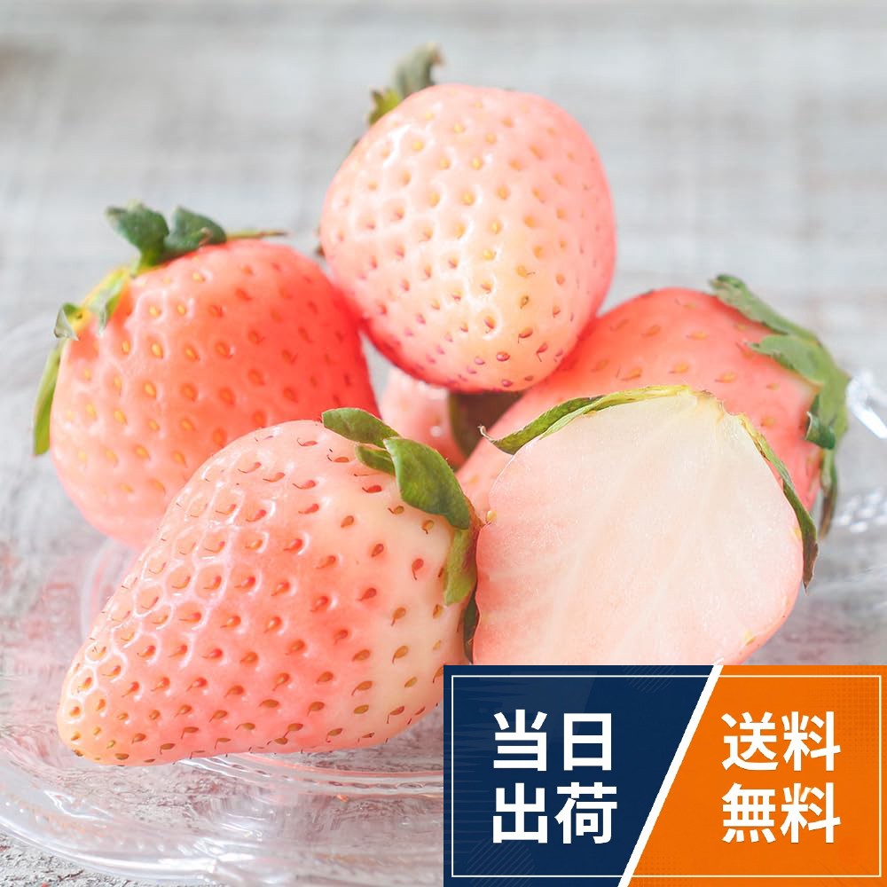 ITANSE いちご苗 3号【品種で選べる果樹苗】