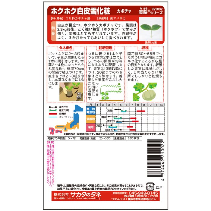 selectableの【送料無料】サカタのタネ 実咲野菜 カボチャ ホクホク白皮雪化粧｜アングル2