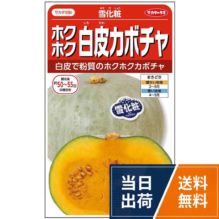 【送料無料】サカタのタネ 実咲野菜 カボチャ ホクホク白皮雪化粧