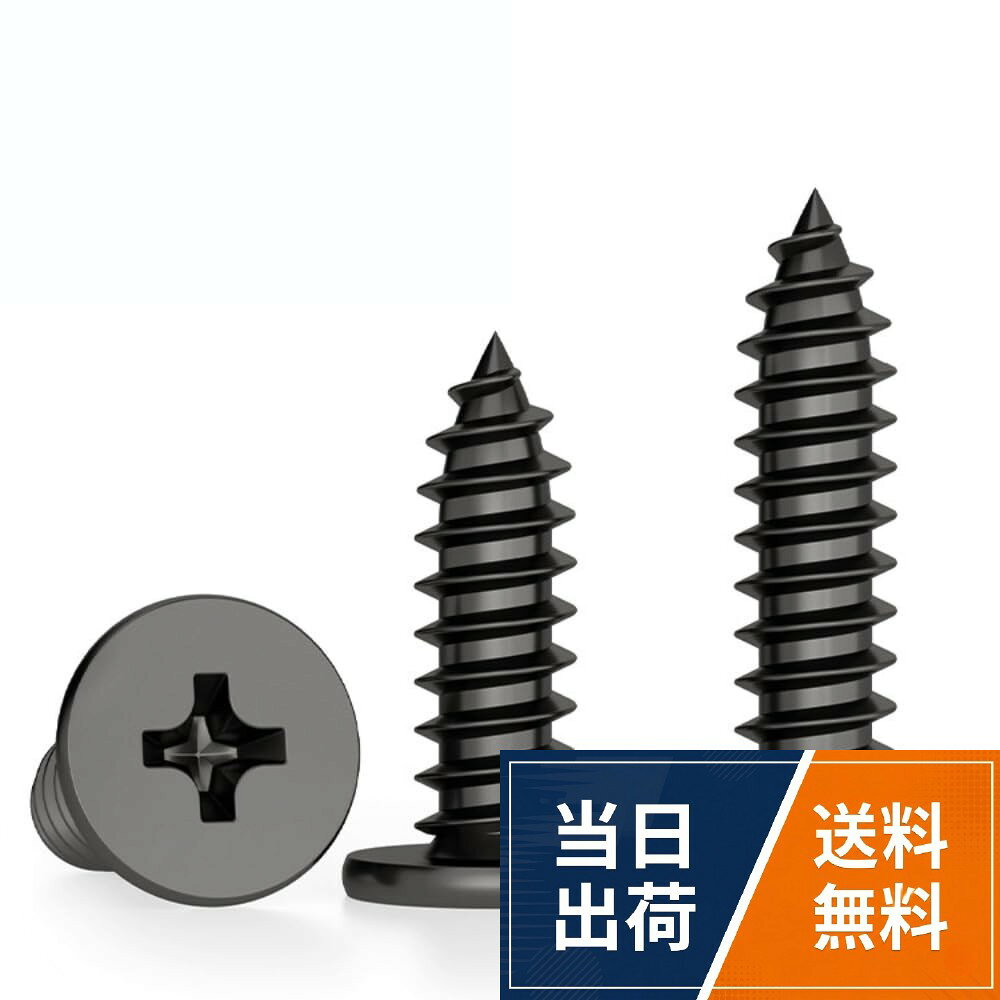 【送料無料】Horea 50本入 CA超薄ヘッド平頭十字穴セルフタッピングねじ ブラックM2 304ステンレス M2サイズ デジタルパック 薄頭皿頭ねじ ネジ 木材・薄鋼板用
