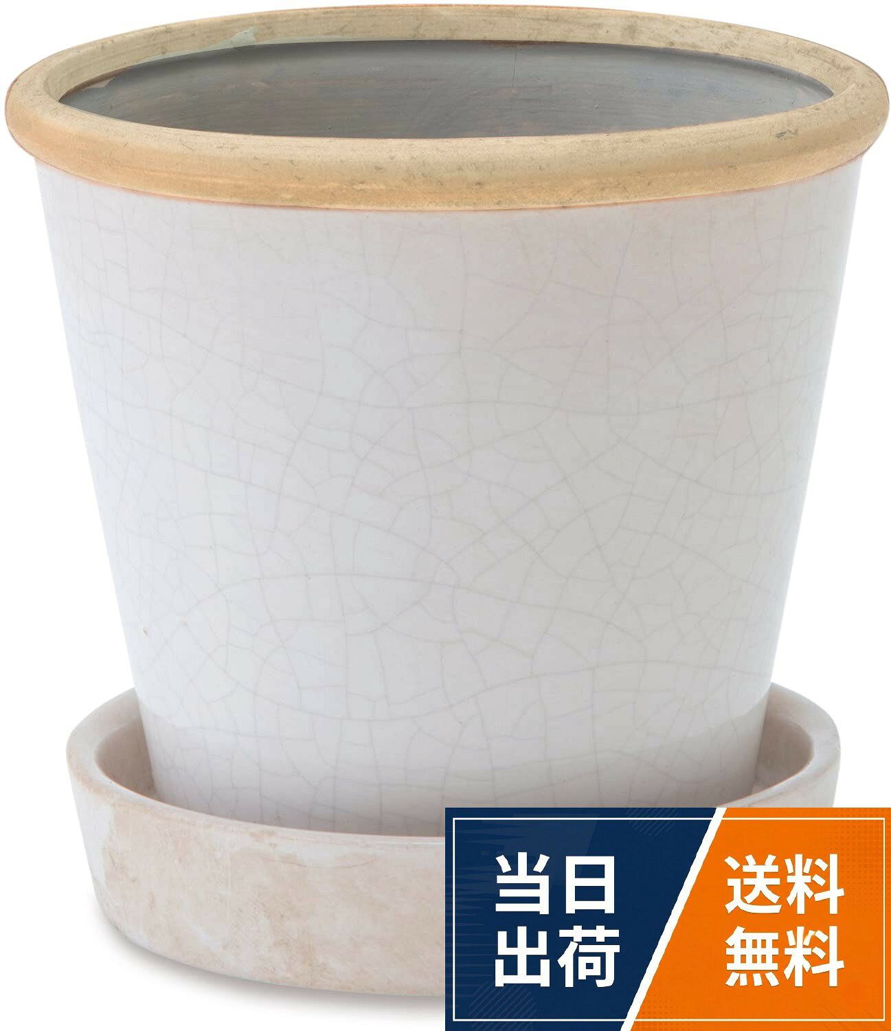 【送料無料】ポッシュリビング 植木鉢 グロッシーポットB