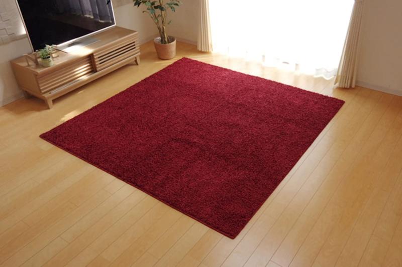 Rakuten - イケヒコ・コーポレーション イケヒコ ラグ 平織 シャンゼリゼ 抗菌防臭 防ダニ 防炎付き 折り畳み可能 日本製