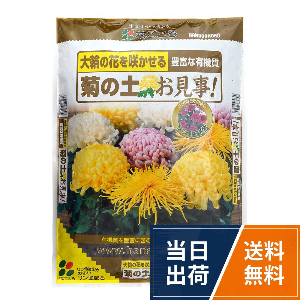 花ごころ 菊の土