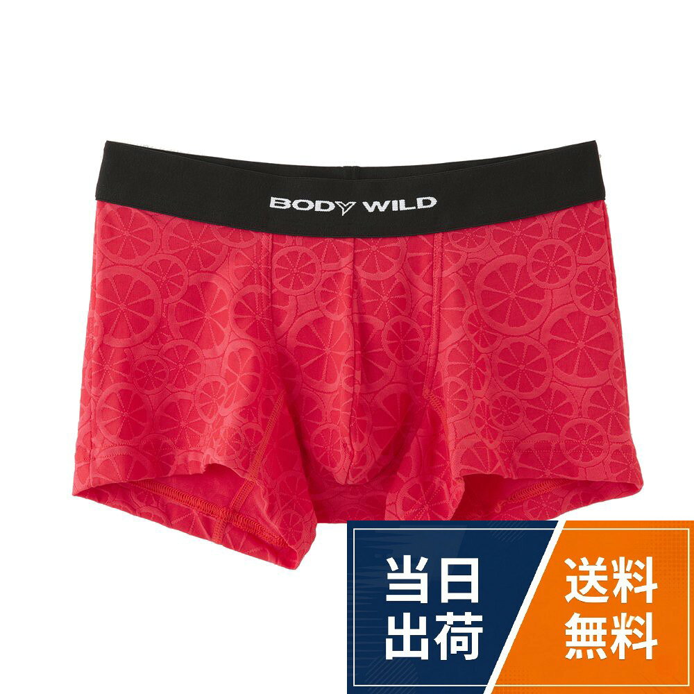 胴囲 M:76~84cm L:84~94cm LL:94~104cm[ボディワイルド] ボクサーBWE071Gメンズ / ボクサー