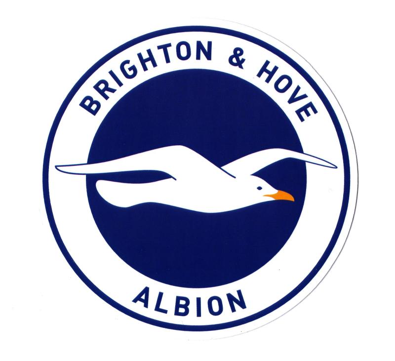 ブライトン&amp;ホーヴ・アルビオンFC エンブレムステッカー(Lサイズ) [st287]