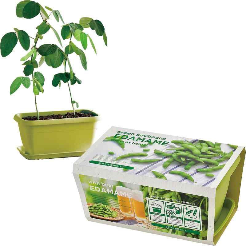 Rakuten - 聖新陶芸 家庭菜園 簡単 栽培キット ゆったり育てる 栽培セット (自由研究/食育) ENJOY PLANTER