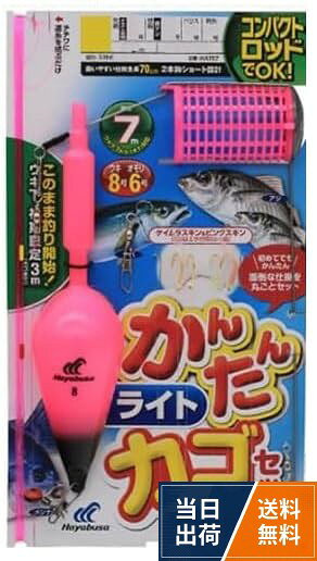 【送料無料】ハヤブサ(Hayabusa) コンパクトロッドかんたんライトカゴ釣りセット L HA197