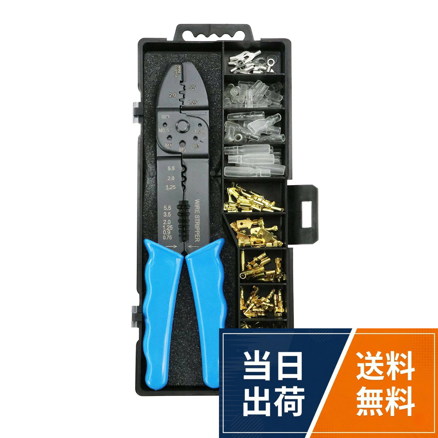 【送料無料】イーバリュー(E-Value)