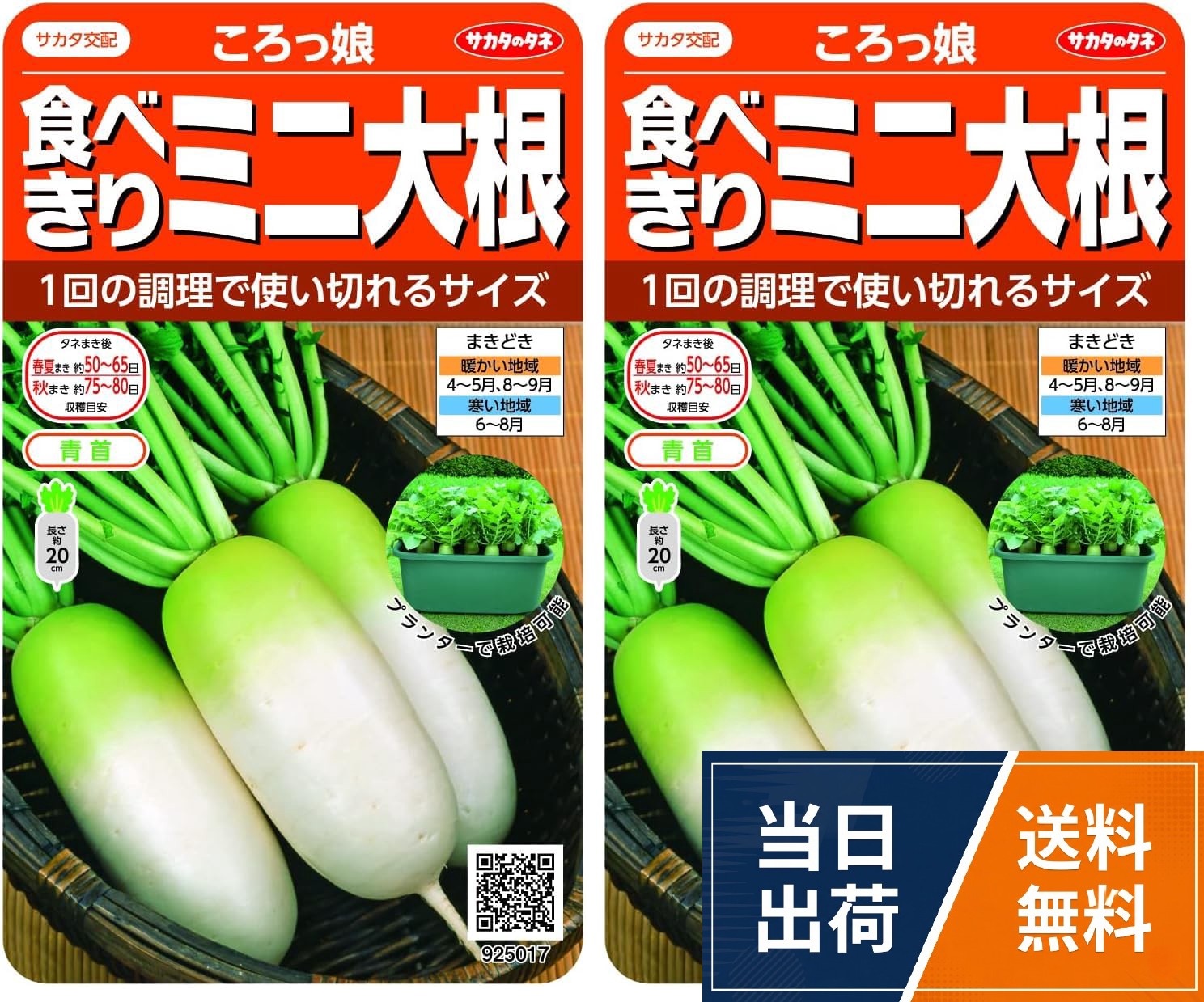 【送料無料】サカタのタネ 実咲野菜5017 食べきりミニ大根 ころっ娘