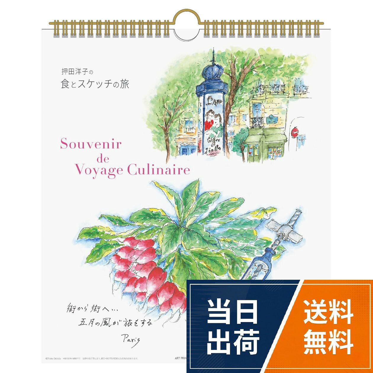 スケッチイラストが人気の押田洋子さんの30角カレンダーです。。サイズ：300×260mm。13枚つづり。リング仕様2026年カレンダー 旅の思い出/押田洋子(30角)