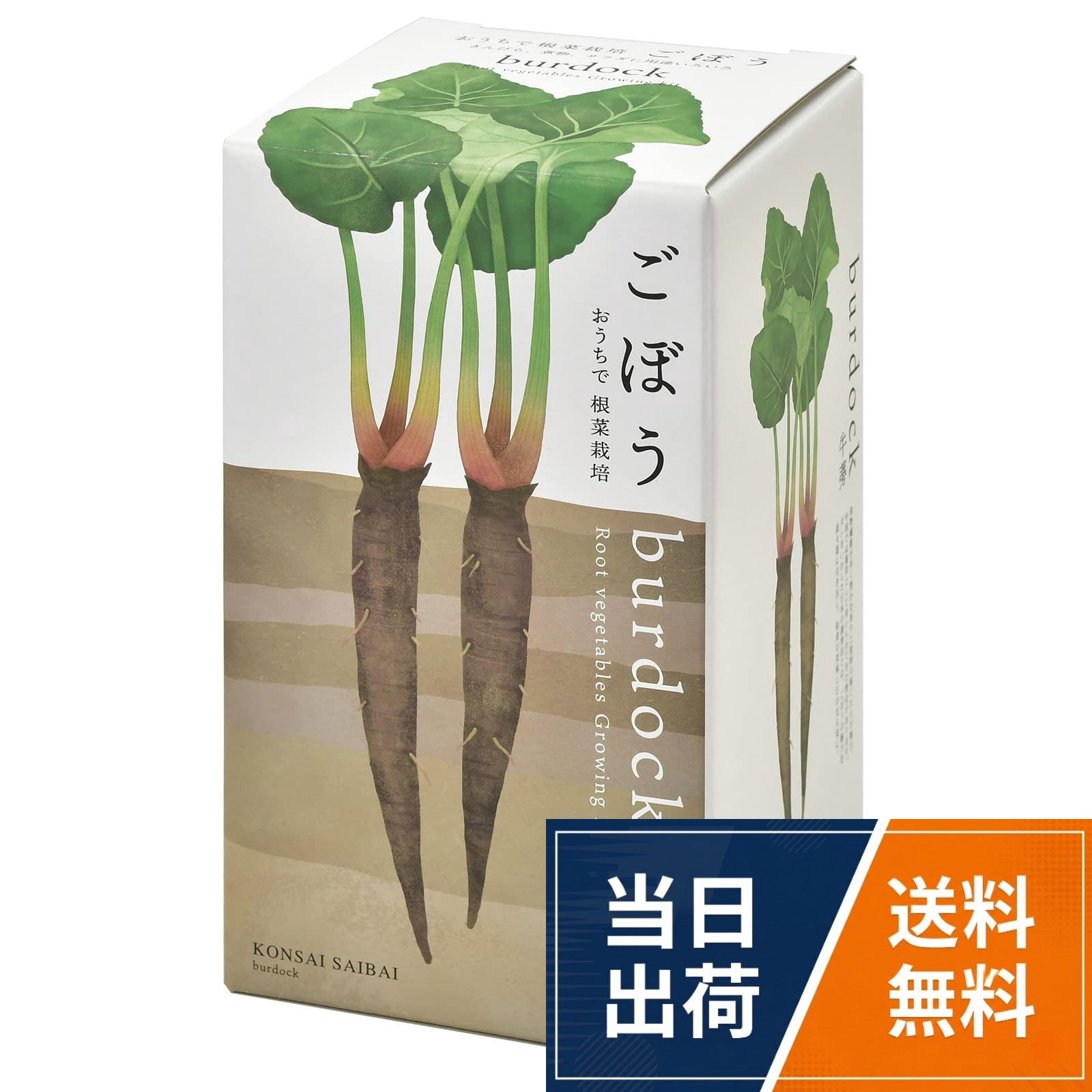 【送料無料】聖新陶芸 栽培キット おうちで根菜