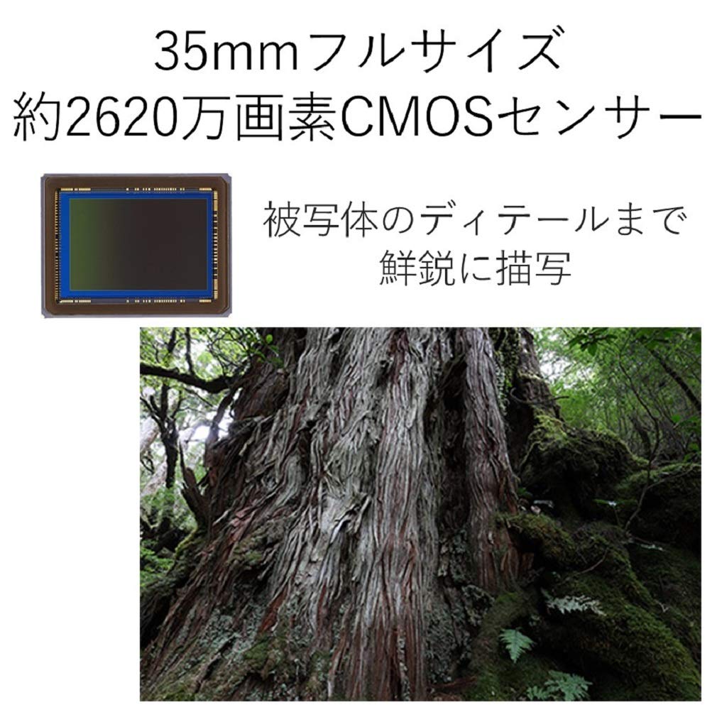 selectableの【送料無料】Canon デジタル一眼レフカメラ EOS 6D Mark II｜アングル3