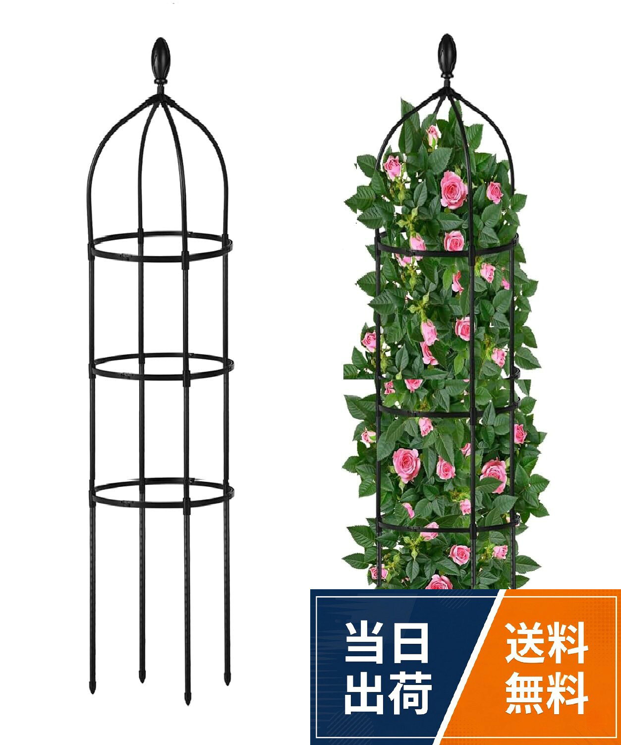 【送料無料】siawadeky 植物支柱 観葉支柱 セット 円形 観葉 つる植物 植物サポート 花支え DIY飾り用 植物成長方向誘引 バラ 薔薇 植木鉢用 フラワー支柱 農業用 園芸用 装飾用