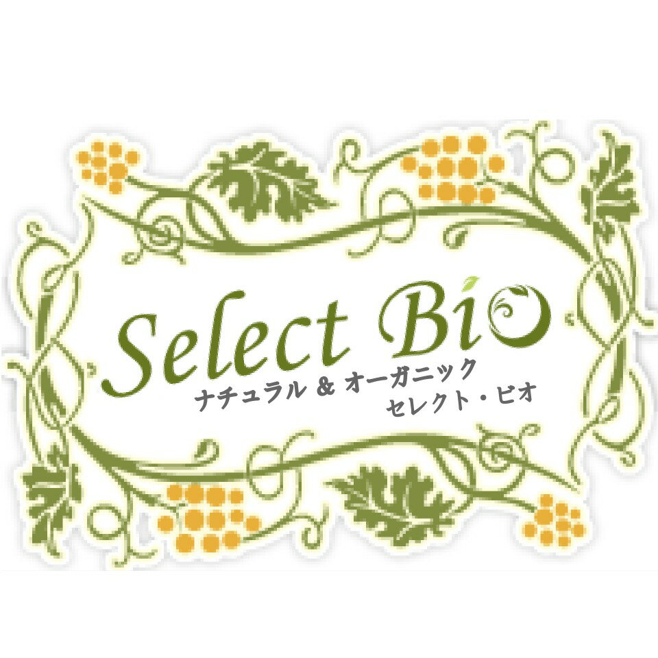 Shop icon