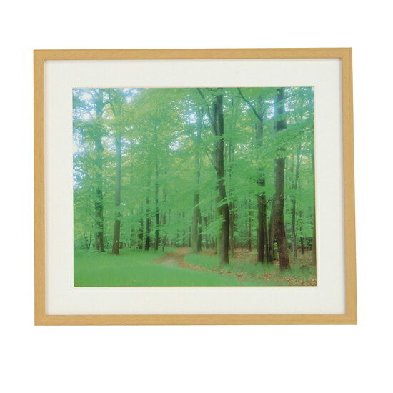 ナカバヤシ 木製写真額縁(角型) 再生木材 A4判 フ-SW-174-N 木地 フォトフレーム 写真 壁掛け #300#
