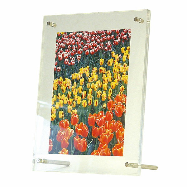 アクリル製 ピクチャー フォトフレーム 写真立て スタンドタイプ ポストカードプリント用 フ-ACS-PC #301# [2]