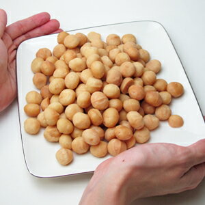 �ޥ����ߥ��ʥå� AA2 �������� ��̵���� 300g �ޥ饦����