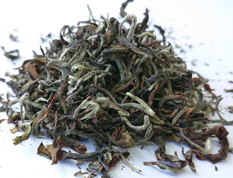 ダージリン紅茶 2026年 春摘み リザヒル茶園（MOONSHINE）EX-5 20g
