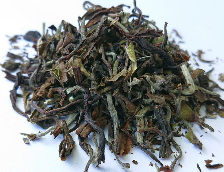 ダージリン紅茶 2026年 春摘み リザヒル茶園（CLONAL WONDER）EX-6 40g (20g x 2)