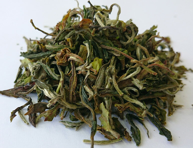 ダージリン紅茶 2026年 春摘み オレンジバレー茶園 SFTGFOP1（CL) EX-05 40g (20g x 2)