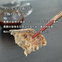 スパイスの効いた黒豚ハンバーグ