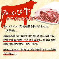 みっかび牛サーロインステーキ冷凍産地直送送料無料