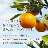 三ケ日牛の受賞歴