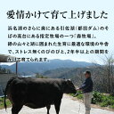 【国産 牛肉】特選 黒毛和牛 「静岡そだち」 しゃぶしゃぶ用ギフト 1000g 3