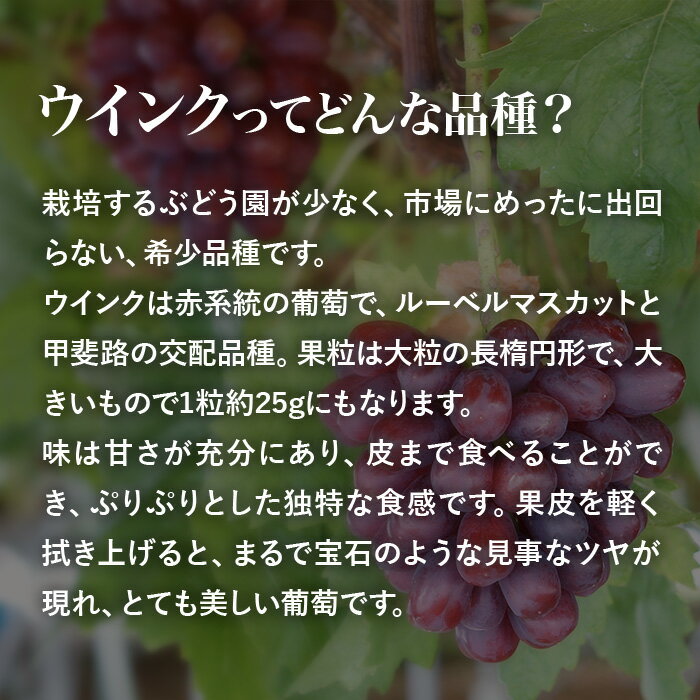 11月限定販売・数量限定【希少種】高級ぶどう「ウインク」1房700g以上