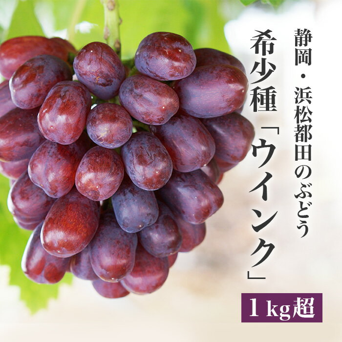 高級ぶどう「ウインク」1房 1kg超 希少 ［数量限定・送料無料］ぶどう 高級 ブドウ 希少種 贈答 ギフト お取り寄せ 産地直送