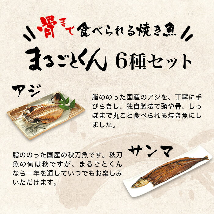 静岡グルメ セレクトフードコパンのまるごとくん ［静岡沼津］ひもの まるごとくん　6種類（真あじ干物、さんま干物、かます干物、金目鯛干物、ほっけの干物、鰯（いわし）の干物）6種セット（送料込）｜アングル2