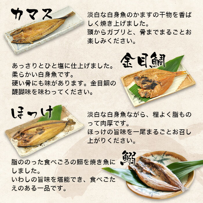 �ޤ뤴�Ȥ��� ���Ų����šϤҤ�� �ޤ뤴�Ȥ���6����ʿ�������ʪ������޴�ʪ�����ޤ���ʪ�������䴳ʪ���ۤä��δ�ʪ����ʤ��路�ˤδ�ʪ��6�糧�åȡ���������