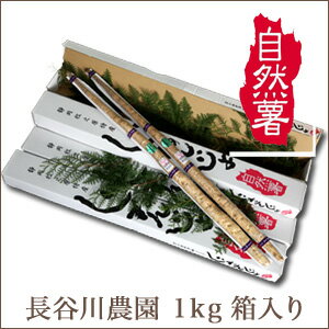 自然薯 【静岡牧の原】 長谷川農園 の自然薯(じねんじょ)1kg