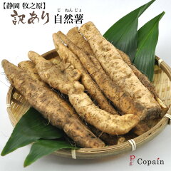 https://thumbnail.image.rakuten.co.jp/@0_mall/selectfood/cabinet/jinenjo/yam_ha38w201.jpg