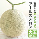 マスクメロン「アールスメロン」大玉 1〜2玉(1玉=約1.7kg)古橋さんのマスクメロン 化粧箱入 ギフト好適品 贈り物 静岡メロン